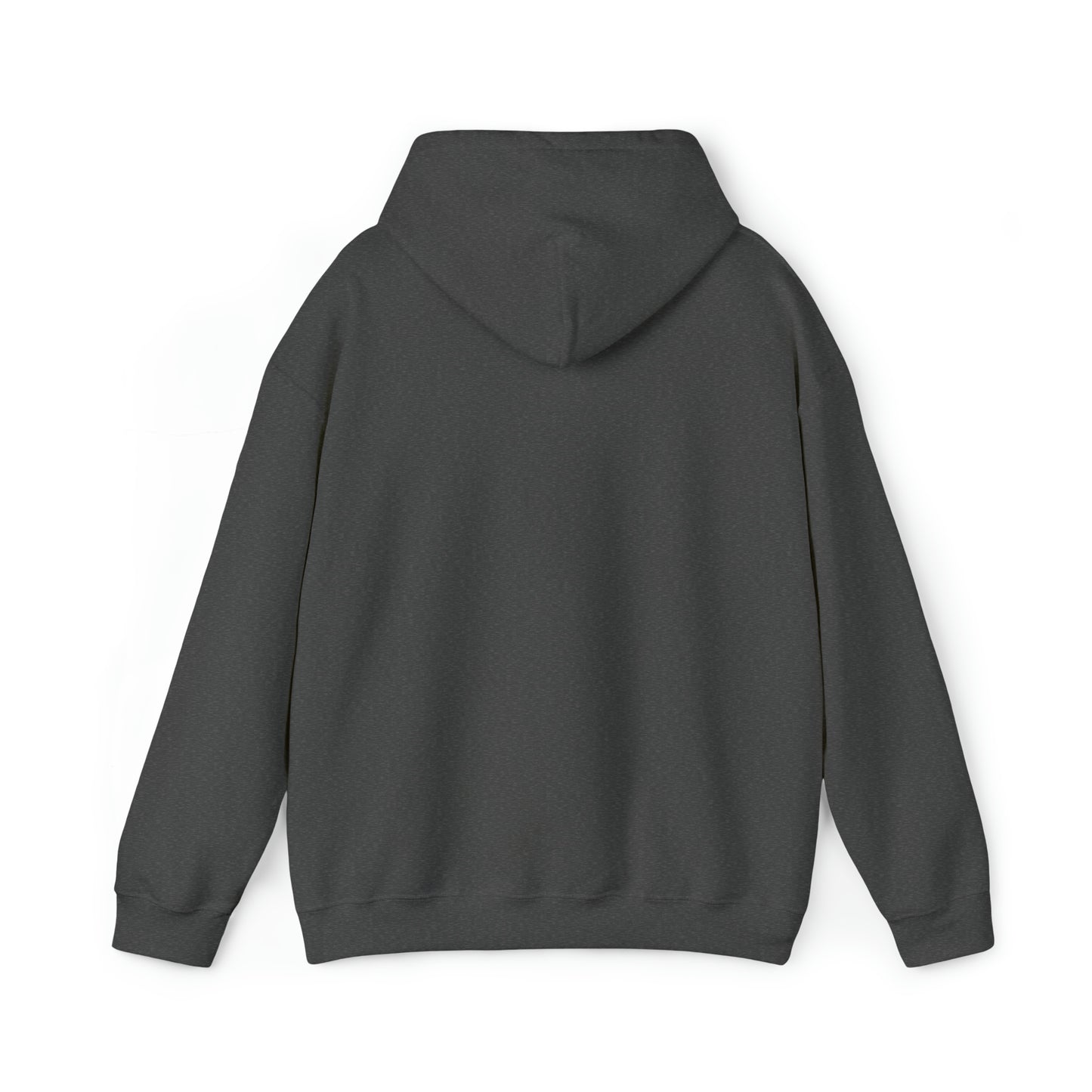 Unisex Hoodie No seas Boludo Argentina