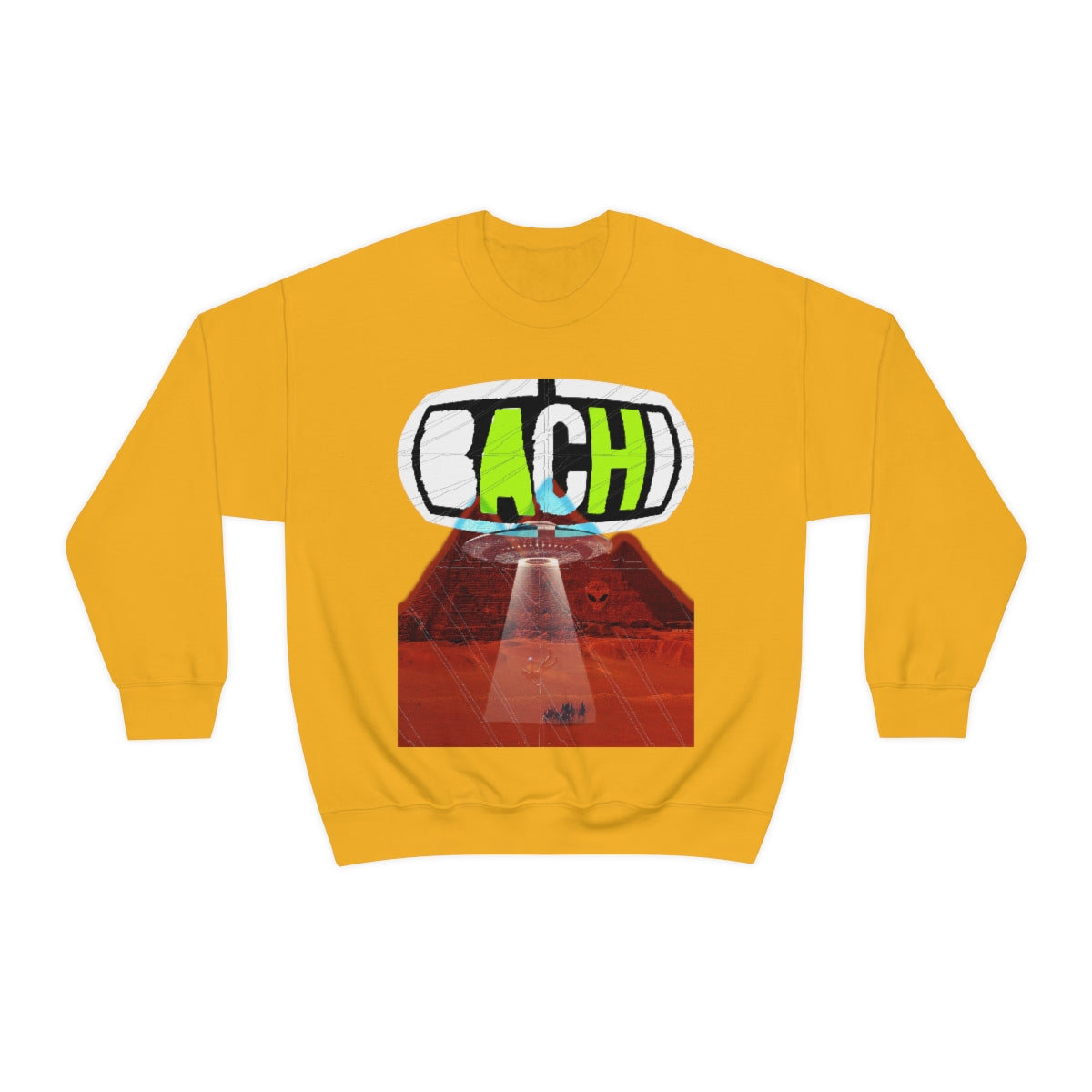 Unisex Sweatshirt Bachi Alien Abduction